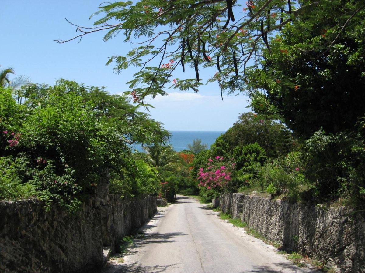 Blue Dream By Eleuthera Vacation Rentals Governor's Harbour Εξωτερικό φωτογραφία